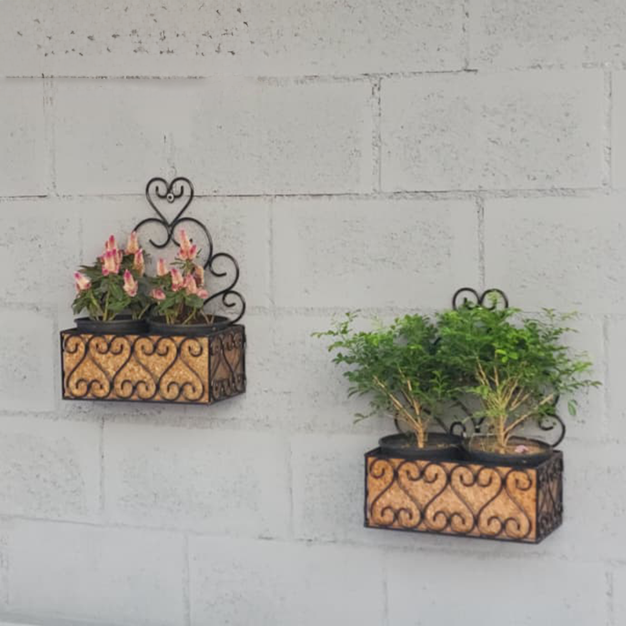 Scroll Wall Planters ~ Set of 2