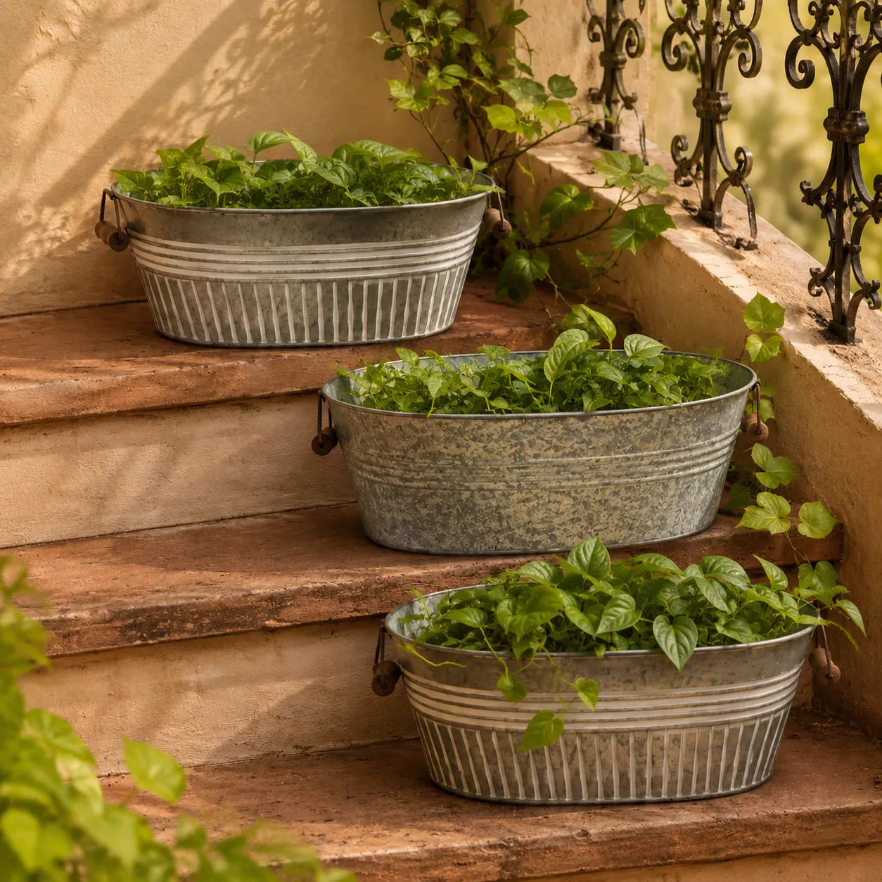 Assorted Oval Planter White Colour Set of 3