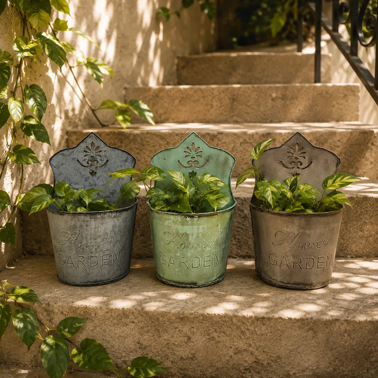 Assorted Wall Mount Planter Set of 3
