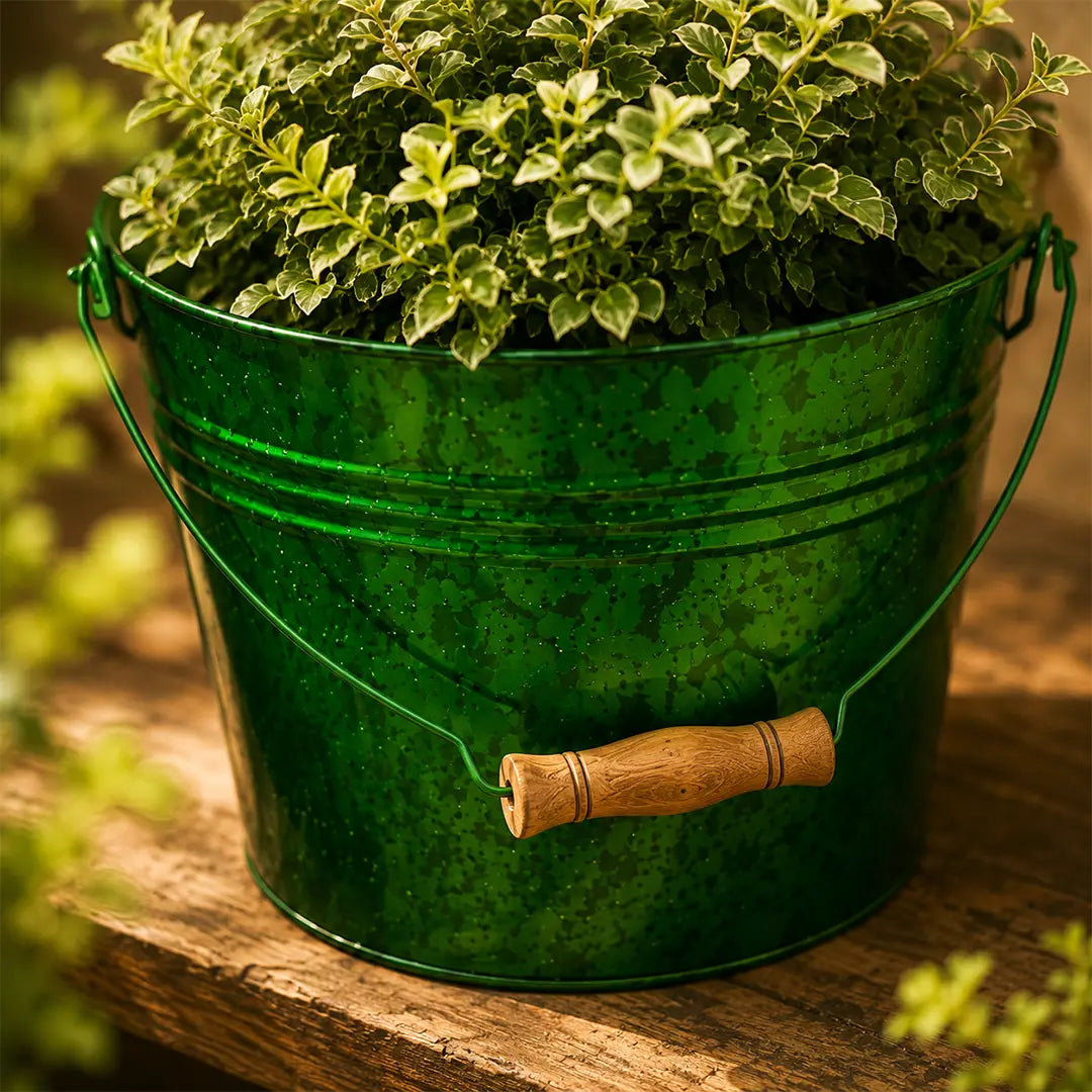 Bucket Planter Green Colour Set of 4
