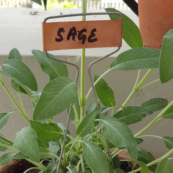 Garden Accessories