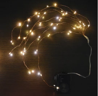 Bunchgrass Led LED String Bunch – Earth Garden