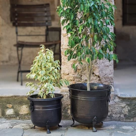Planters