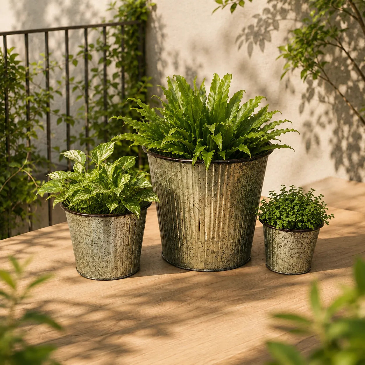 Round Planter Set of 3