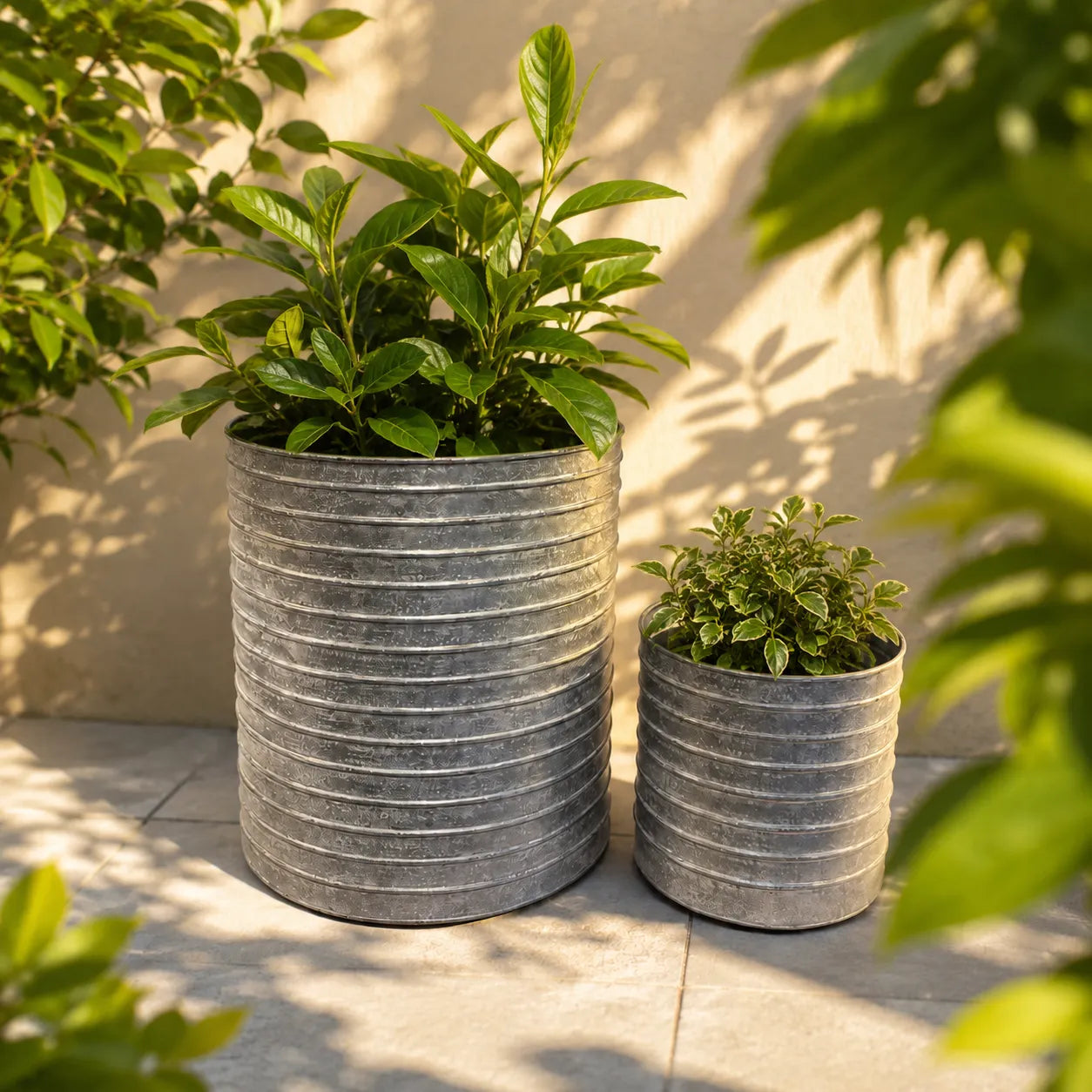 Cylinder Planter Set of 2