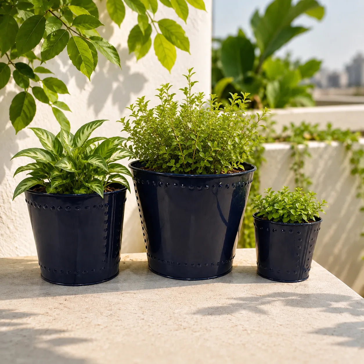 Assorted Round Planter Royal Blue Colour Set of 3