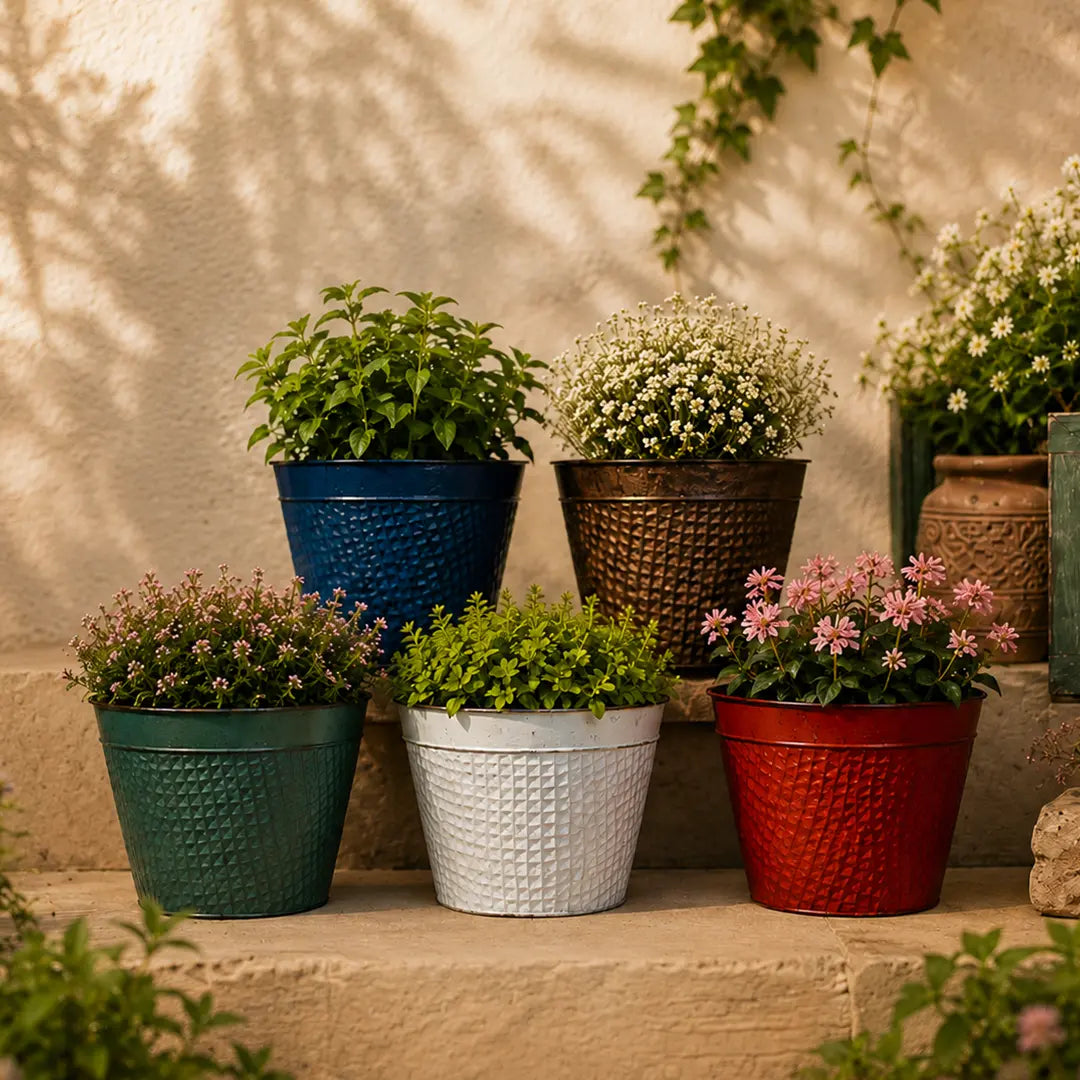 Round Planter Multi Colour Set of 5