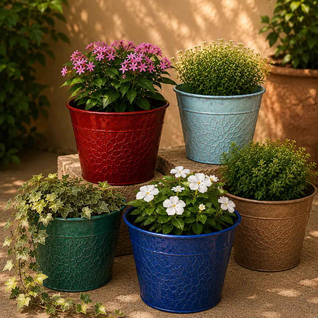 Round Planter Multi Colour Set of 5