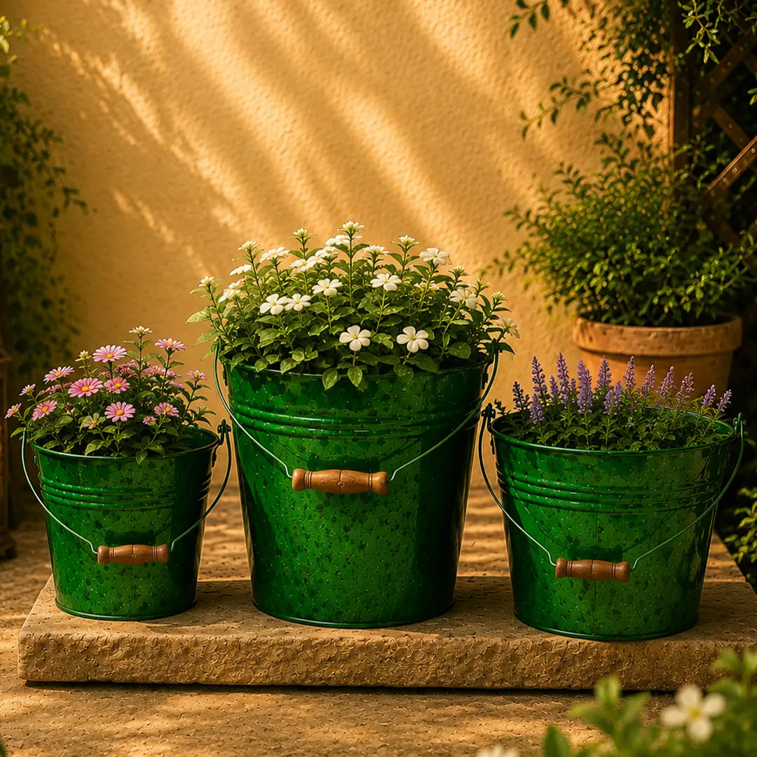 Bucket Planter Green Colour Set of 4