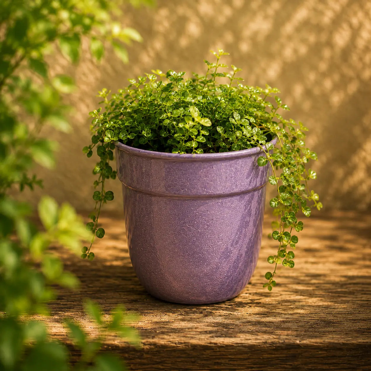 Round Planter Purple Colour Set of 4