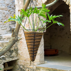 Conical Hanging Baskets ~ With Coco Liners (Set of 2)
