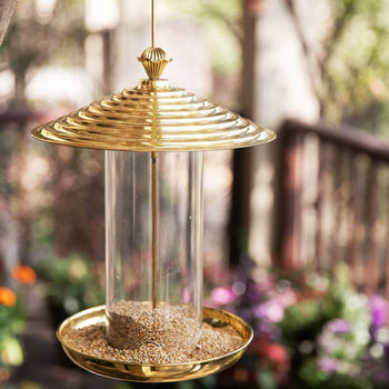 Bistro Bird Feed - Yellow