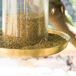 Bistro Bird Feed - Yellow