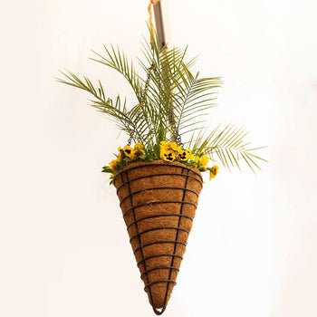 Conical Hanging Baskets ~ With Coco Liners (Set of 2)