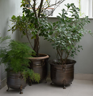 Oxidized Lion Planters