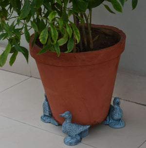 Duck Pot Feet (Set of 3 or 4 pcs)