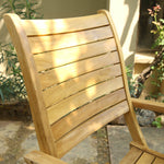 Foldable Pure Teakwood Paris Chair with arms