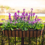 Hayracks Planters (with Cocoliners)