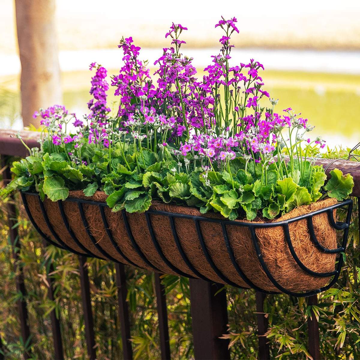 Traditional Window Box Hayrack Planter for Plants | EarthGarden – Earth ...