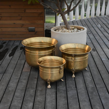 Lion Planters ~ Glossy Brass Finish