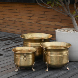 Lion Planters ~ Glossy Brass Finish