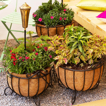 Cauldron Planters (with Coco-liners)