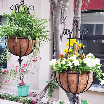Peacock Hanging Baskets ~ 3D (with Cocoliner)