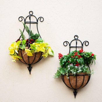 Peacock Wall Planters