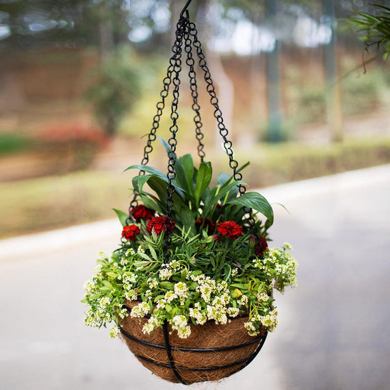 Round Hanging Basket - Set of 2 (With Coco-Liners)