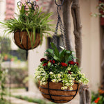 Round Hanging Basket - Set of 2 (With Coco-Liners)
