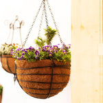 Round Hanging Basket - Set of 2 (With Coco-Liners)