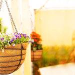 Round Hanging Basket - Set of 2 (With Coco-Liners)