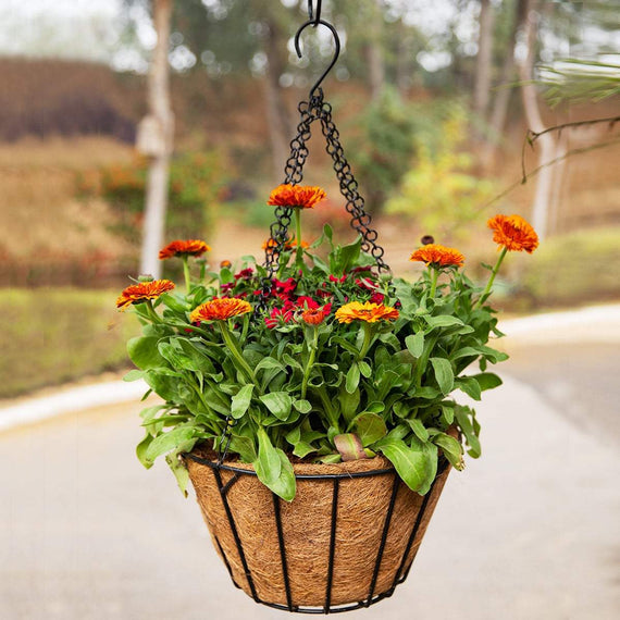 Tapered Hanging Basket - Set of 2 (With Coco Liner)