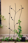 Twining Leaf & Bird Trellis with 10 Glass Votives