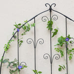 Wall Trellis