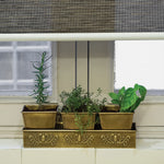 Windowsill Herb Garden Online